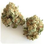 Шишки "White Widow" (Белая вдова) Гидропоника - Бошка VHQ в Менделеевске Шишки "White Widow" (Белая вдова) Гидропоника - Бошка VHQ в Менделеевске