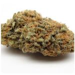 Шишки AK47 (Гидропоника, Бошка) VHQ в Менделеевске Шишки AK47 (Гидропоника, Бошка) VHQ в Менделеевске